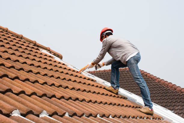 Best Roof Leak Repair  in Chocowinity, NC