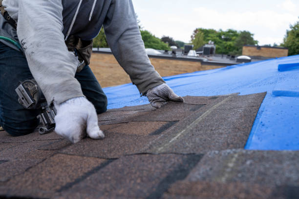 Best Roof Ventilation Installation  in Chocowinity, NC