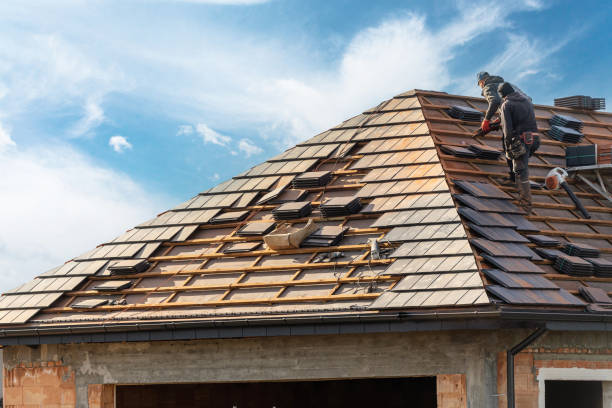 Best Roof Insulation Installation  in Chocowinity, NC