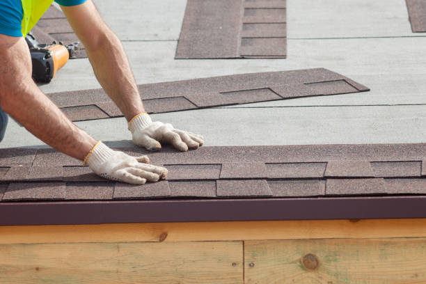 Best Storm Damage Roof Repair  in Chocowinity, NC
